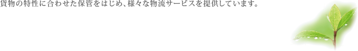 営業倉庫事業部は様々な物流サービスを提供しています。